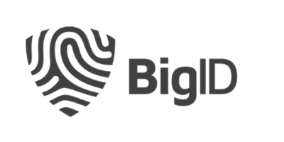 BigID Logo